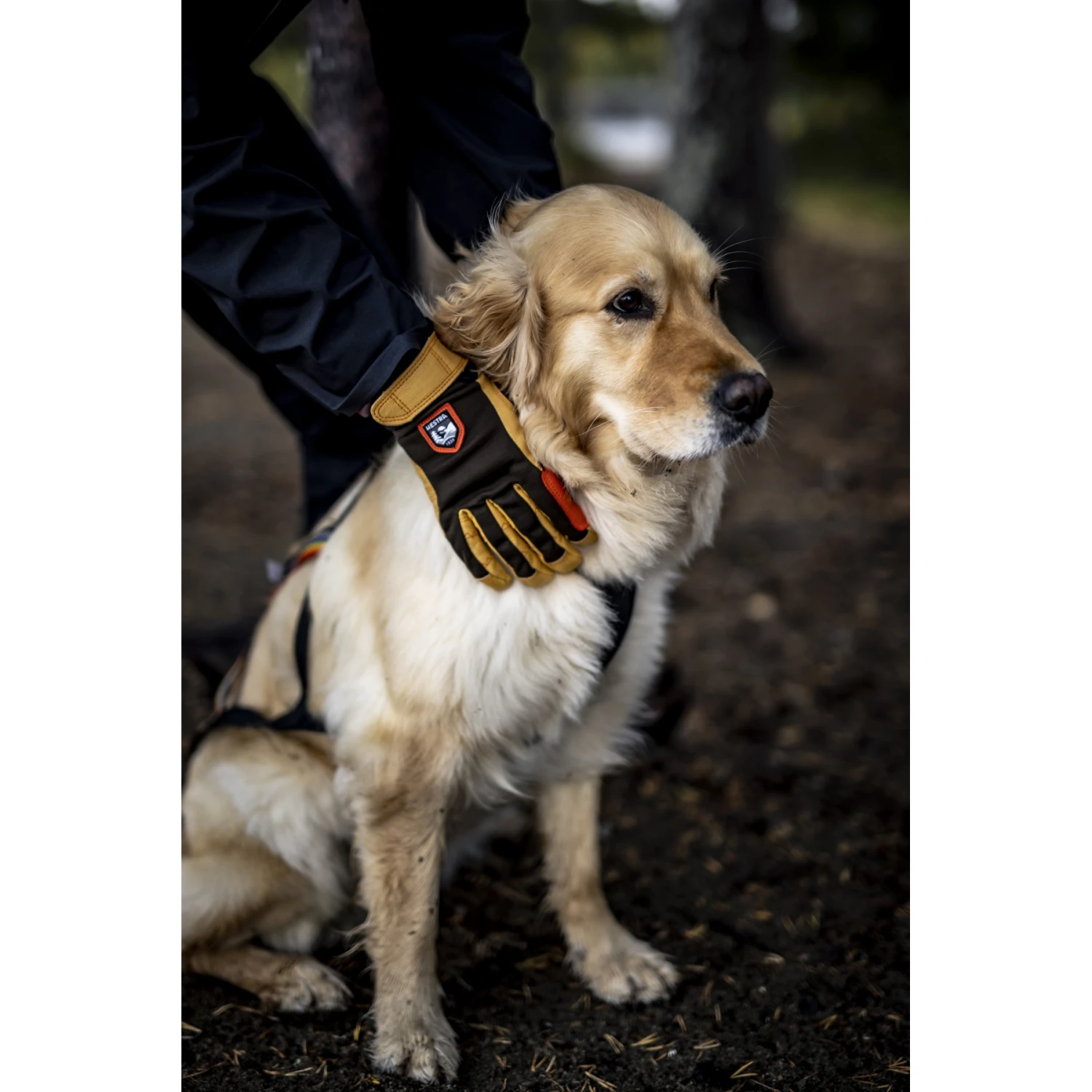 Hestra Guanti Outdoor A 5 Dita - Ergo Grip Active - Orange/offwhite 12 Hestra Guanti Outdoor A 5 Dita - Ergo Grip Active - Orange/offwhite - immagine 10